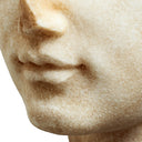 Roman Head Sculpture Bust of a Youth