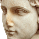 Roman Head Sculpture Bust of a Youth