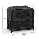 Tina 27" Rattan Nightstand With Storage