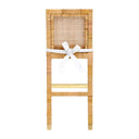 Amara Woven Rattan Performance Fabric Stool