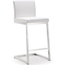 Parma Performance Vegan Leather Counter Stool - Set of 2