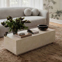 Romy 47" Rectangular Coffee Table