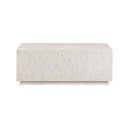 Earl 48" Shell Rectangular Coffee Table
