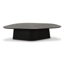 Roche 50" Ash Low Coffee Table
