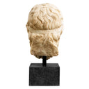 Marble Head Sculpture Bust Hermes