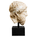 Marble Head Sculpture Bust Hermes