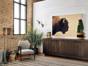 AMERICAN BISON BY GETTY IMAGES
