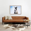 WAR HORSE