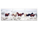 Mustangs 3-Panel Photo On Canvas