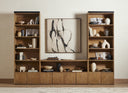 BANE BOOKSHELF