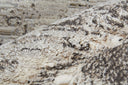 Vancouver 39FHF Ivory/Charcoal