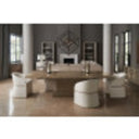 Daya Dining Chair - Radiant Pearl by Caracole, view 16