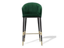 Adak - Modern Glam Green with Black & Gold Barstool