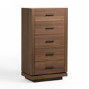 Bailey- Modern Walnut Chest