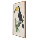 Barraband Toucans 1