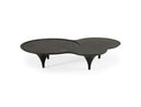 Beulah - Modern Free Form Black Ash Coffee Table