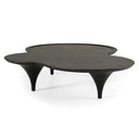 Beulah - Modern Free Form Black Ash Coffee Table