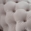 Clarice - Transitional Light Beige Velvet Chair
