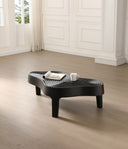 Quinter - Sample - Matte Black Freeform Coffee Table