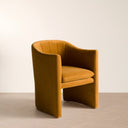 Danube Modern Fabric Dining Chair