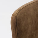 Ditka - Modern Velvet Dining Chair (Set of 2)
