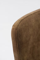 Ditka - Modern Velvet Dining Chair (Set of 2)
