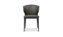 Delaney Dining Chair Dark Green-Set of Two