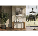Modern Fauna Wenge and Brass Desk
