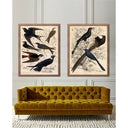 Gallivani Birds 2