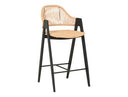 Gayle - Modern Rattan Counter Stool Set of 2