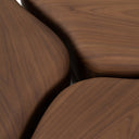 Gimbal - Modern 3-Piece Walnut Coffee Table
