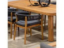 Kamari - Outdoor Grey Olefin Fabric + Teak Dining Chair (Set of 2)