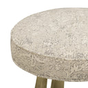 Pookie Neutral Floral Accent Stool by TOV Furniture, view 4