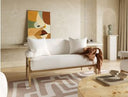 Cynthia - Modern White Fabric + Wood Loveseat