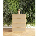 Gavin - Modern Natural Ash + Rattan Bed
