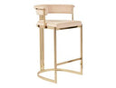 Munith Modern Beige Velvet & Gold Counter Stool