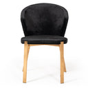 Nadia Modern Dining Chair (Set of 2)