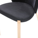 Nadia Modern Dining Chair (Set of 2)