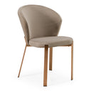 Nadia Modern Dining Chair (Set of 2)