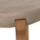 Nadia Modern Dining Chair (Set of 2)