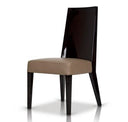 Noble Modern Ebony Lacquer TV Entertainment Center