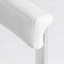Pontiac - Modern Dining Chair