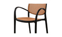 Soren Outdoor Dining Chair Black-Set of Two