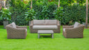 Sapelo Outdoor Beige Wicker Chair