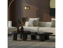 Summit - Modern Ash Coffee Table Set