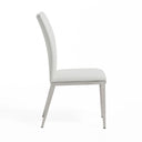 Taryn - Modern Dining Chair (Set of 2)