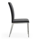 Taryn - Modern Dining Chair (Set of 2)