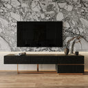 Tasha - Modern Black Ash + Brushed Gold TV Stand