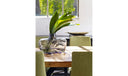 Parq Oval Dining Table Amber