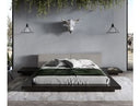 Daystar - Modern Dark Brown Velvet & Gold Bed